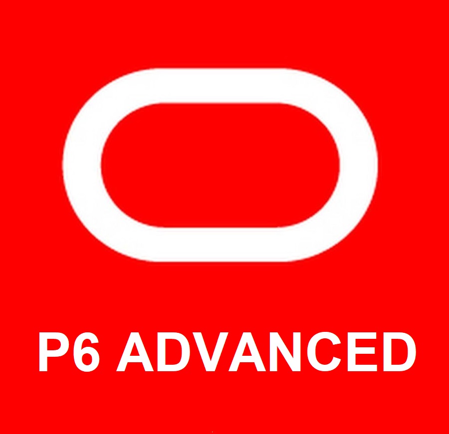 Primavera P6: Advanced Level