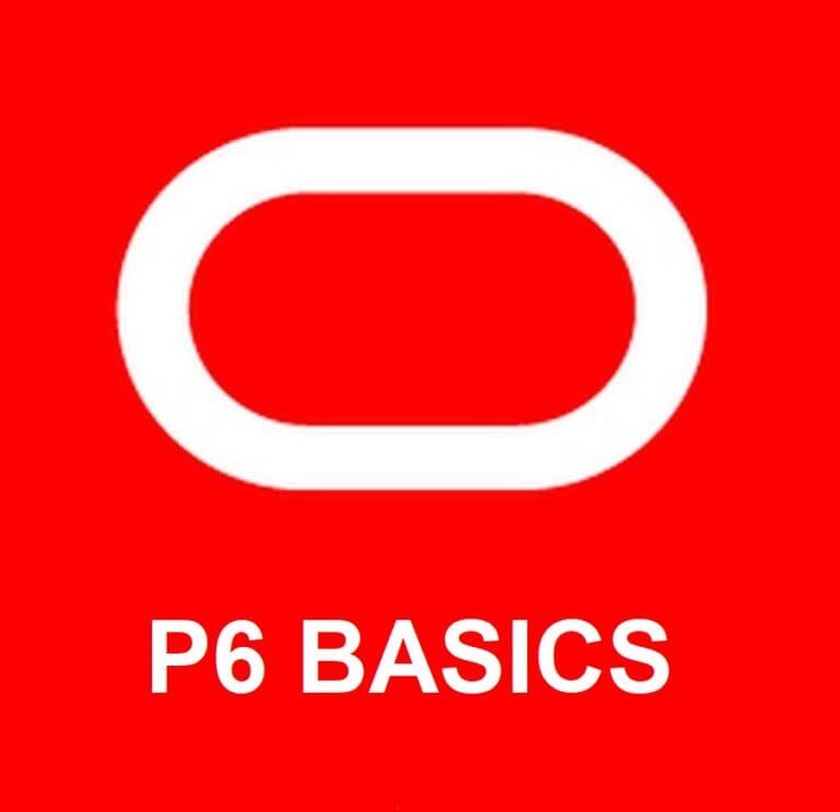 Primavera P6 Basics New Orleans Feb 1719, 2025 Primavera P6 Sales
