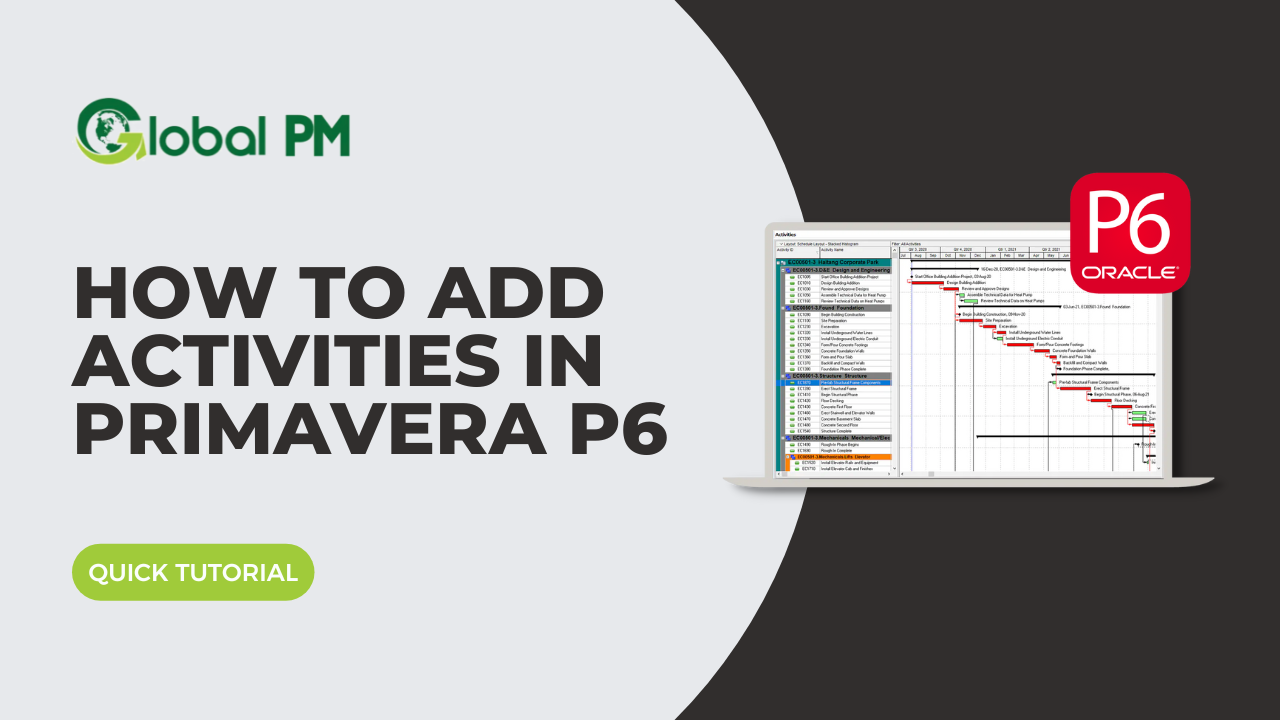 How to Add Activities in Primavera P6 - Primavera P6 Sales and Training ...