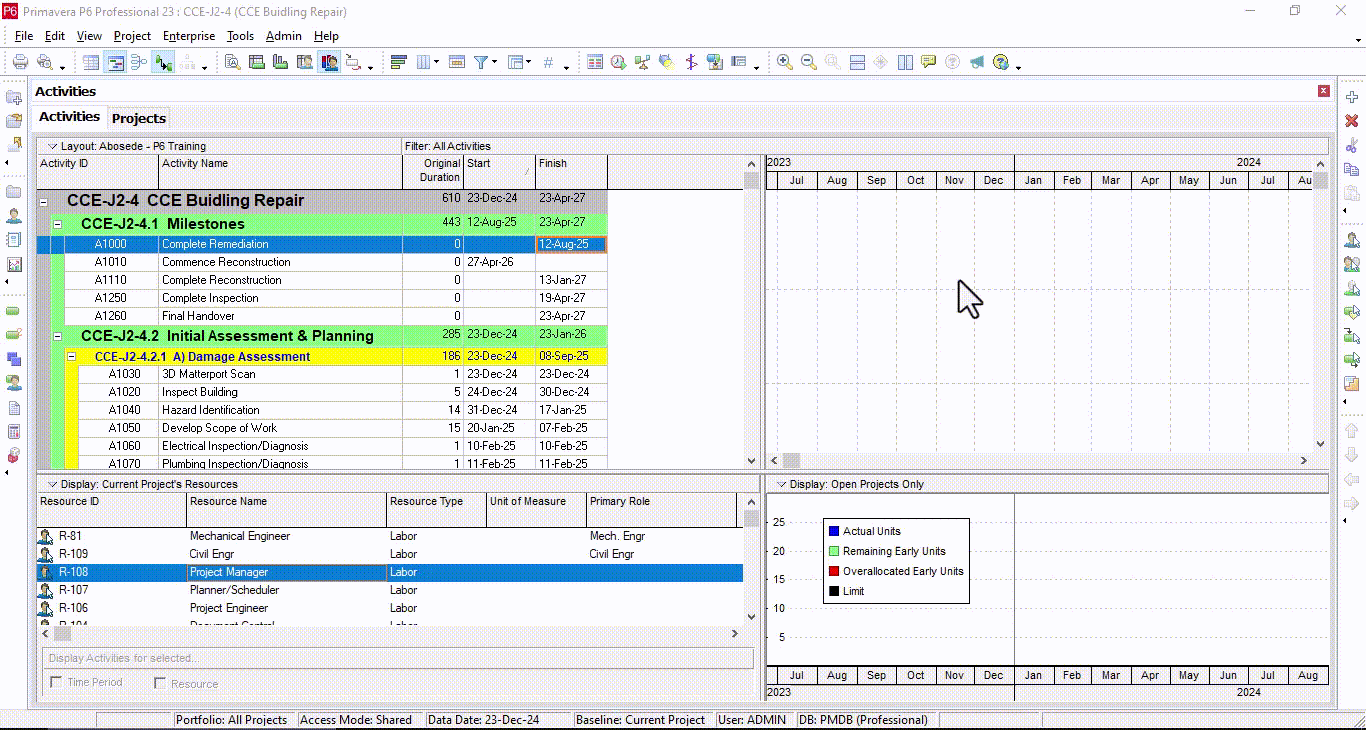 Activity-Level Priorities