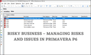 Risky Business – Managing Risks and Issues in Primavera P6 (1)