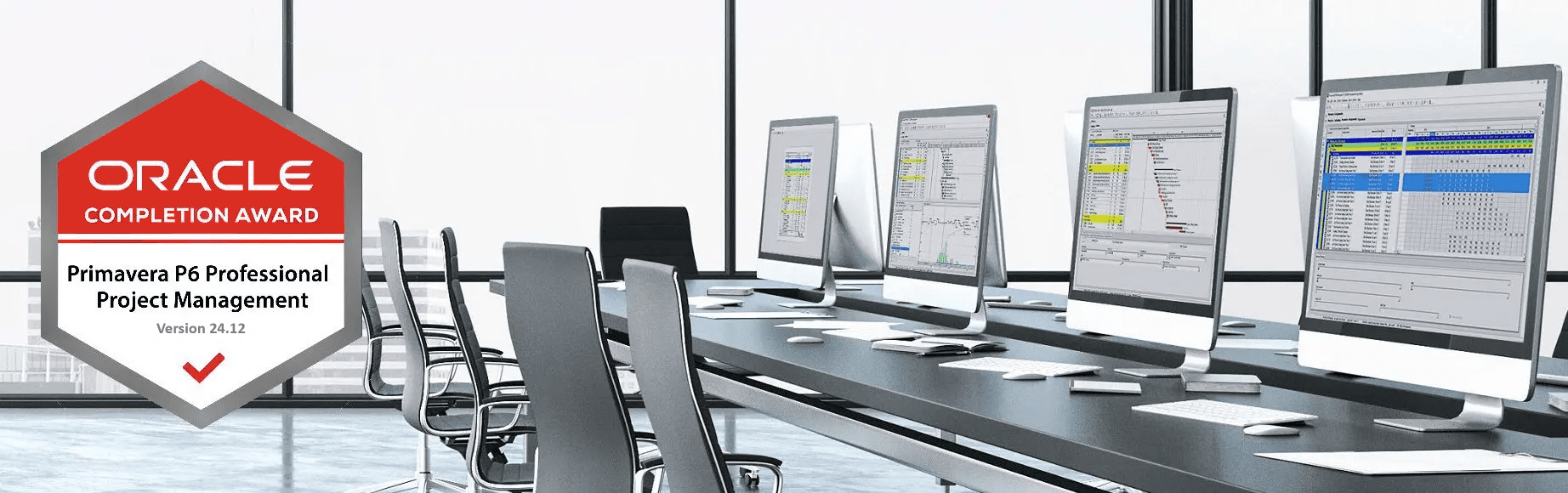 In-Person P6 Certification Training