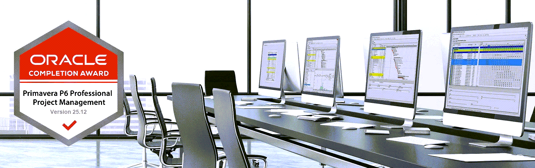 Primavera-P6-Training-Course-25.12