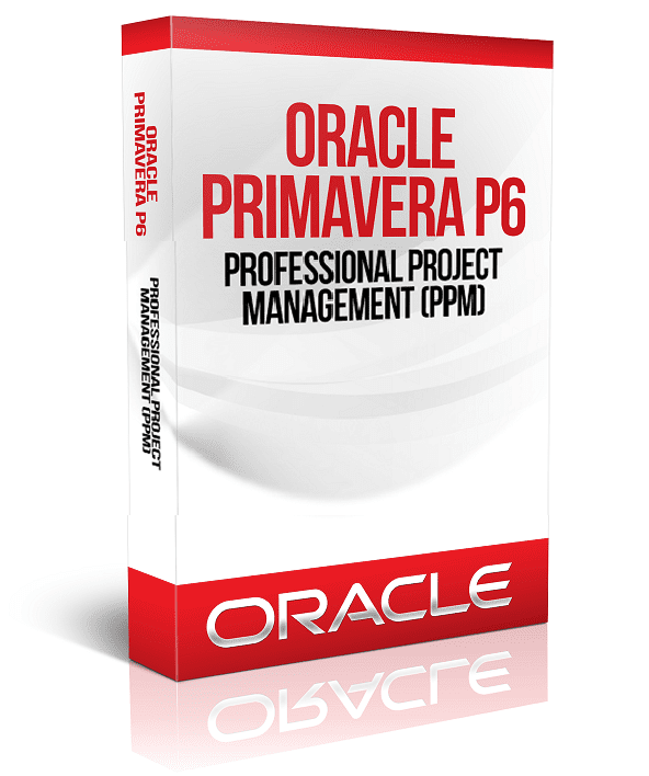 Primavera P6 Professional